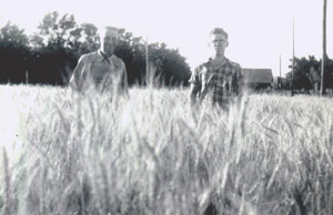 Will & Norval in the Wheat Field